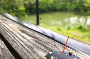 杭州旅游小报：免费指南助您避开人群，轻松探索杭州精华景点与美食