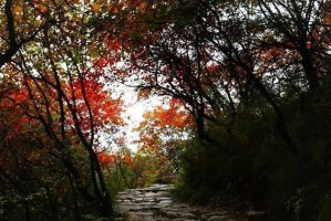 邢台旅游景点排行榜前十名：轻松规划完美旅程，避开拥挤与高花费