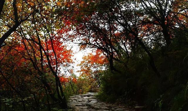 邢台旅游景点排行榜前十名：轻松规划完美旅程，避开拥挤与高花费
