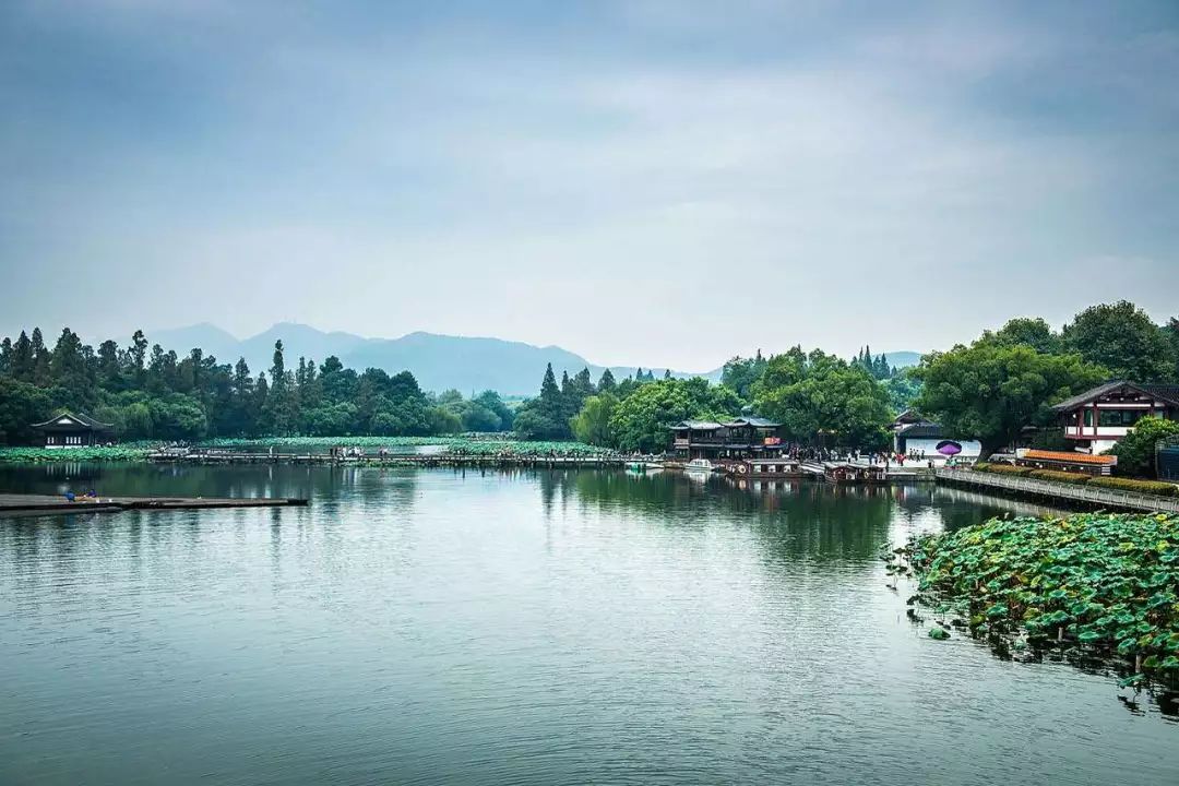 杭州附近最值得去的景点一日游攻略，轻松避开人潮玩转西湖灵隐寺西溪湿地